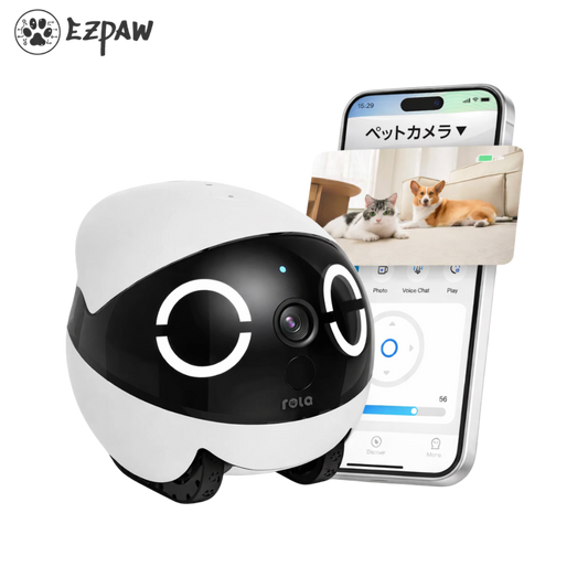 EZScout™｜家中を見守るスマートロボ