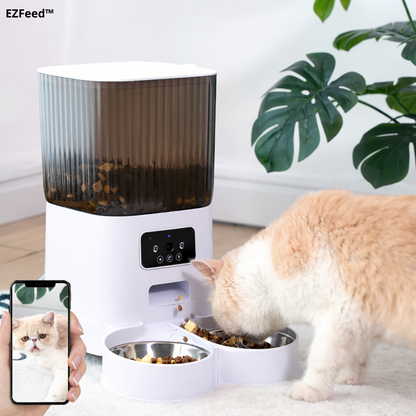 EZFeed™｜毎日を整えるスマート給餌