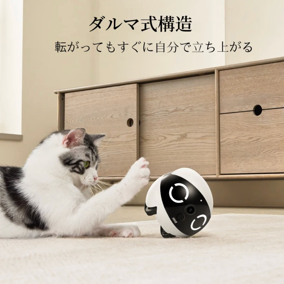 EZScout™｜家中を見守るスマートロボ
